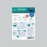 Basking Shark Code of Conduct