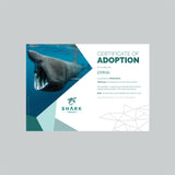 Basking Shark Adoption Certificate