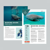 Basking Shark Adoption Factsheets
