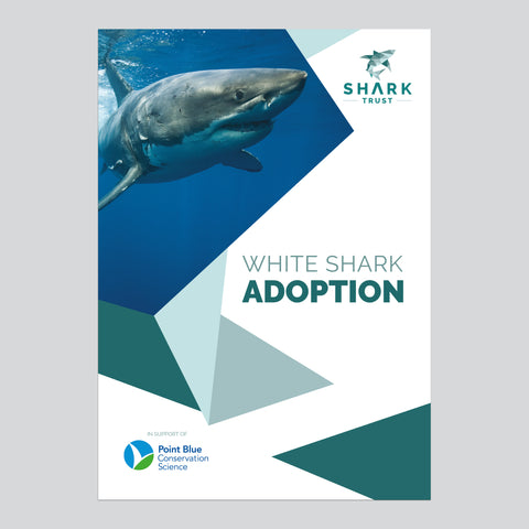 Great White Shark Adoption Folder