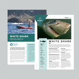 Great White Shark Adoption Factsheets