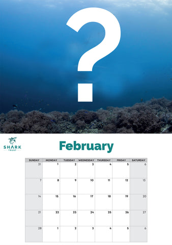 Shark Trust Calendar 2027 - Pre Order (Earliest post date Monday 30th November)