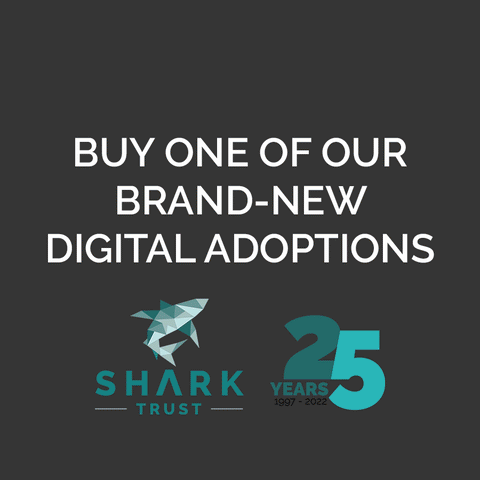 Great White Shark Adoption (Digital)