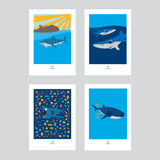 Shark Adoption A4 Prints