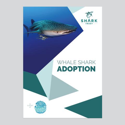 Whale Shark Adoption Folder