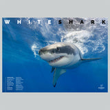 Great White Shark Adoption Poster
