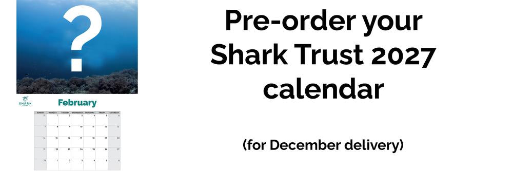2027 Calendar